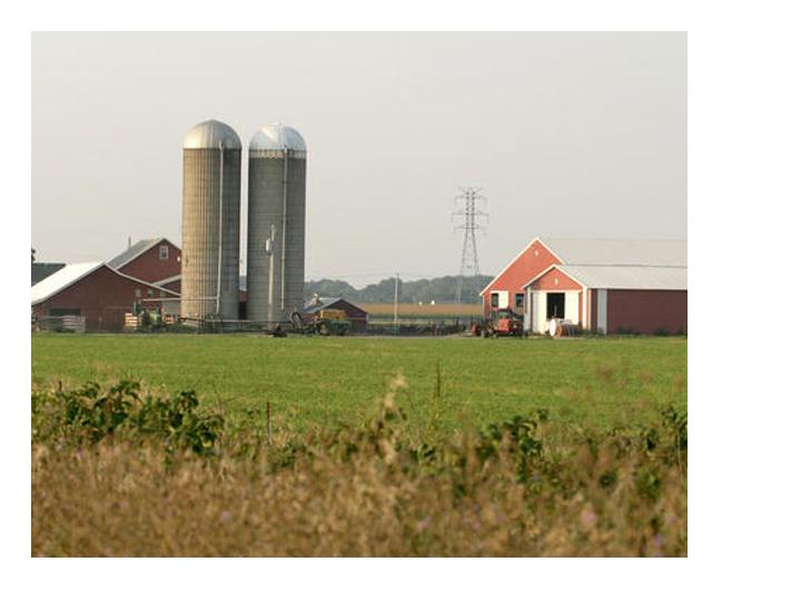 Farm