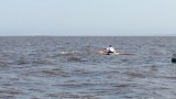 Swimmer