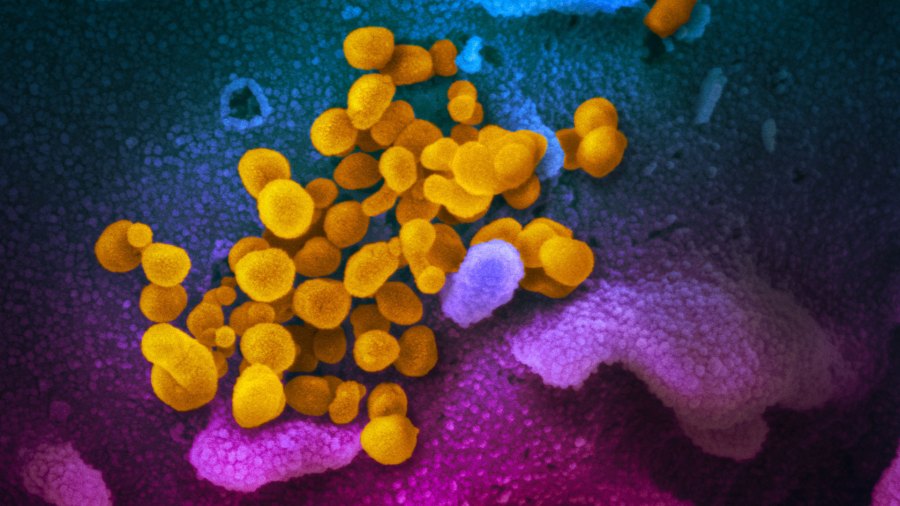 Coronavirus