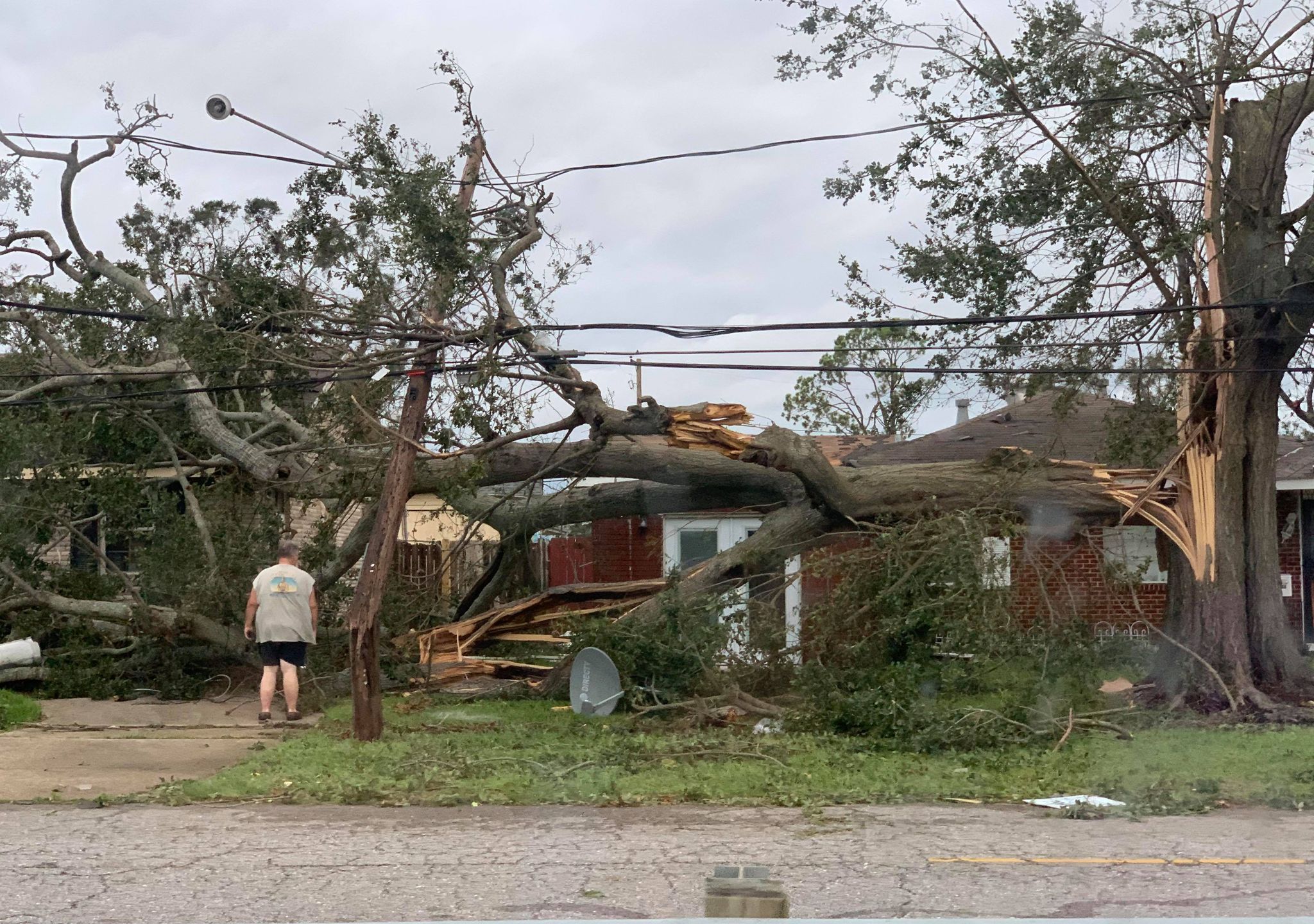 Massive tree crushes home