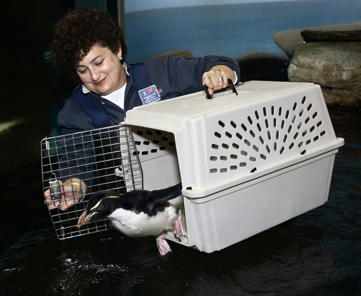 https://digital-release.wgno.com/news/local/audubon-nature-institue-thanks-betty-white-for-being-a-friend-after-katrina/