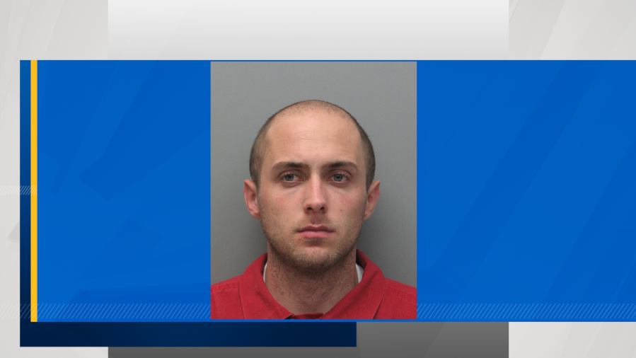 https://digital-release.wgno.com/news/louisiana/lafourche-parish/golden-meadow-man-faces-up-to-40-years-after-pleading-guilty-in-child-cruelty-case/