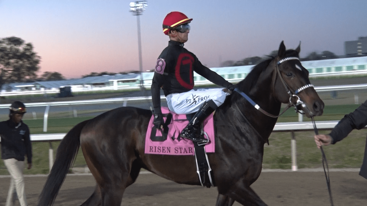 https://digital-release.wgno.com/news/kentucky-derby-contender-sets-sights-on-nola-fair-grounds-first