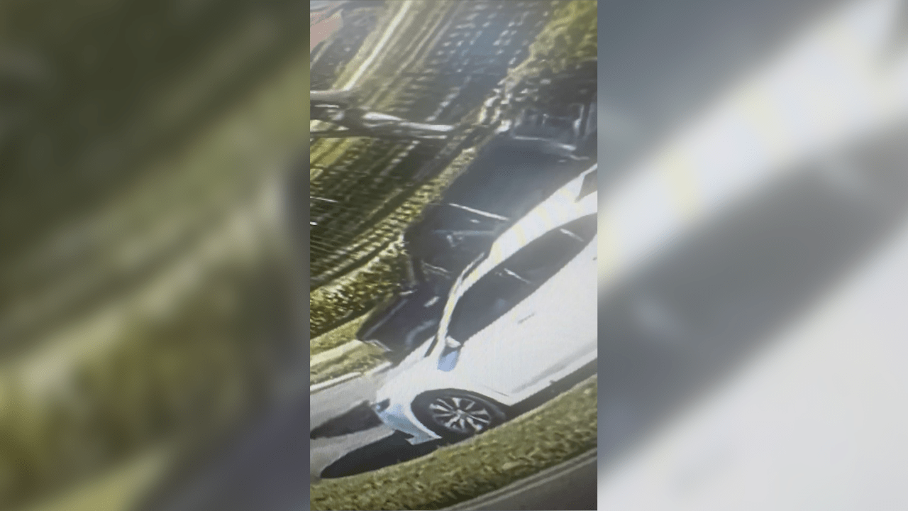 https://digital-release.wgno.com/news/crime/double-shooting-in-new-orleans-east-leaves-man-dead-woman-hospitalized/
