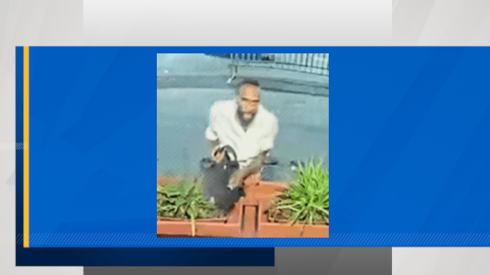 https://digital-release.wgno.com/news/crime/man-wanted-for-questioning-in-french-market-cutting-incident/